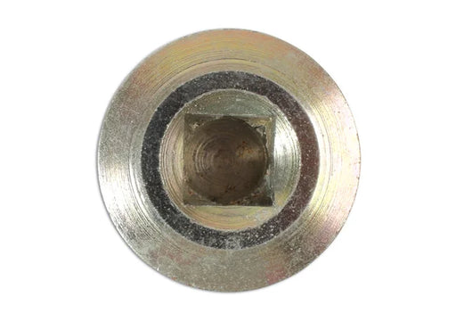 Connect HGV Sump Plug & Washer - for DAF 1pc - CPL
