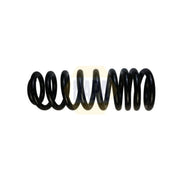 NAPA Rear Suspension Coil Spring NCS1769