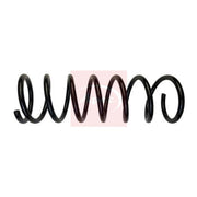 Apec Rear Suspension Coil Spring ACS1971