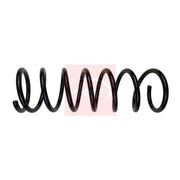 Apec Rear Suspension Coil Spring ACS1971
