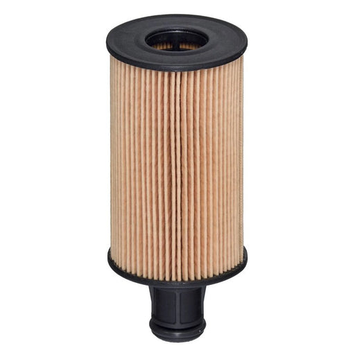 Hengst Engine Oil Filter E1004H D672