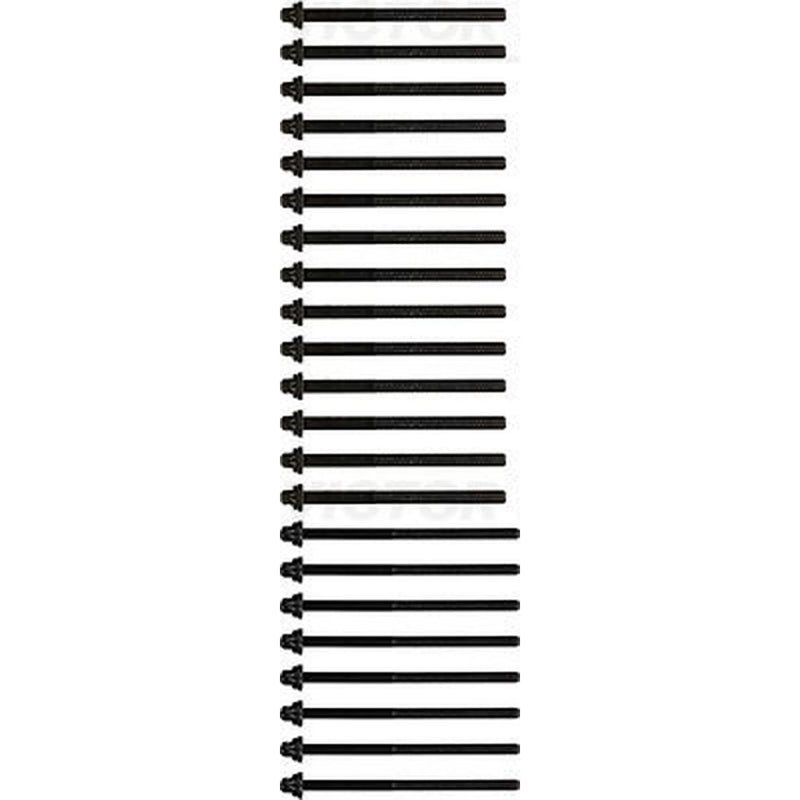 Victor Reinz Cylinder Head Bolt Set 14-32156-01
