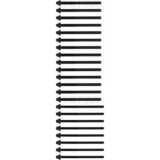 Victor Reinz Cylinder Head Bolt Set 14-32156-01
