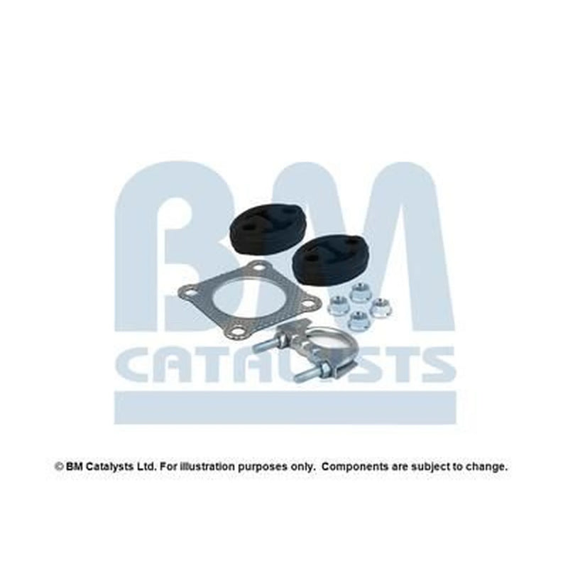 BM Catalysts Fitting Kit FK91479C FK91479C