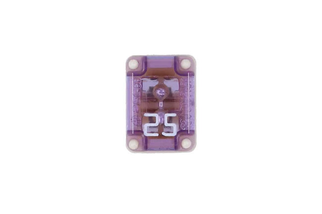 Connect Slotted M-Case Fuse 25A 2pc - CPL