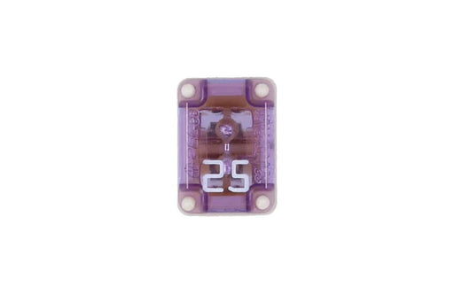 Connect Slotted M-Case Fuse 25A 2pc - CPL