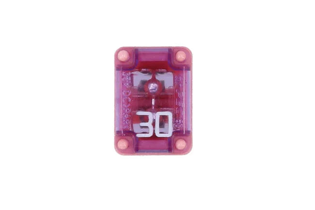 Connect Slotted M-Case Fuse 30A 2pc - CPL