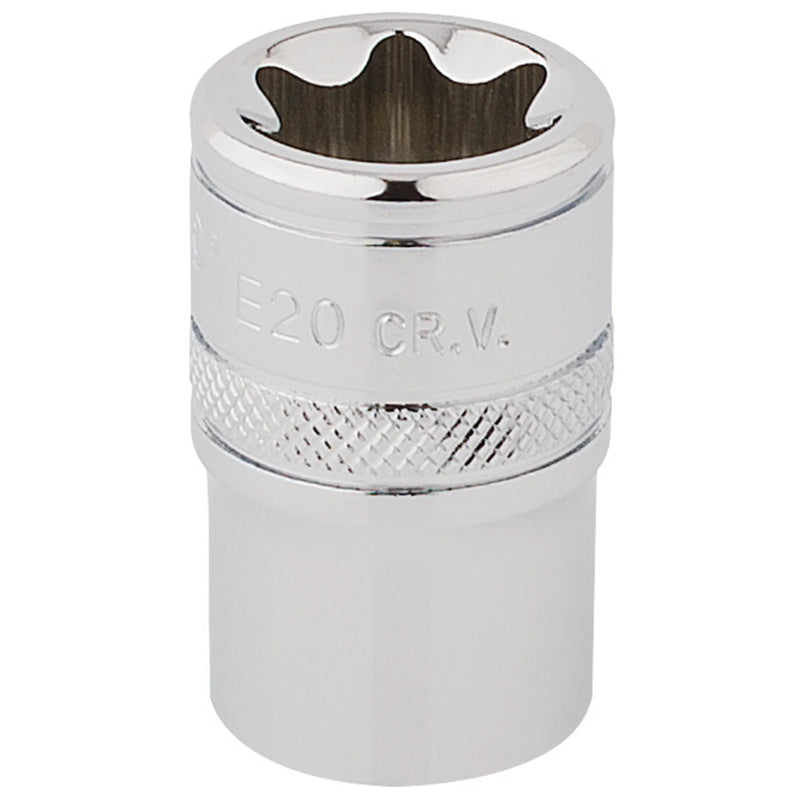 Draper Expert TX-STAR® Socket, Sq. Dr., E20 - Multi-Length Variations