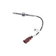 NRF Exhaust Gas Temperature Sensor before soot particu 707133