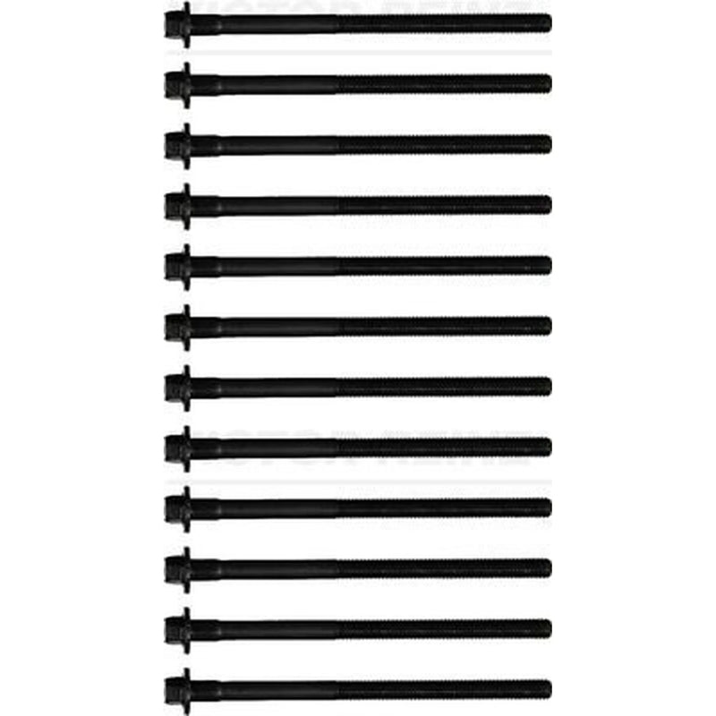 Victor Reinz Cylinder Head Bolt Set M12 14-32379-01