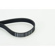 Continental CTAM Multi V-Ribbed Drive Belt 6PK1270
