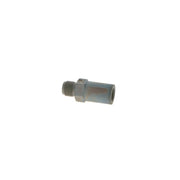 Bosch Fuel Rail Pressure Relief Valve (Common Rail Diesel) 1 110 010 038