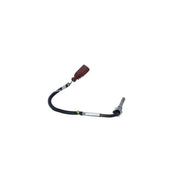 NRF Exhaust Gas Temperature Sensor before soot particula 707271