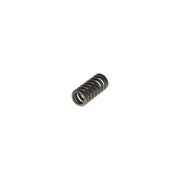 Bosch Compression Spring 3 414 619 601