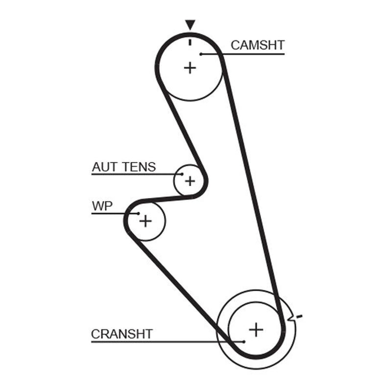 Gates Timing Belt Cambelt 125 Teeth 5449