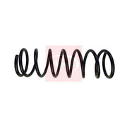 Apec Rear Suspension Coil Spring ACS1920