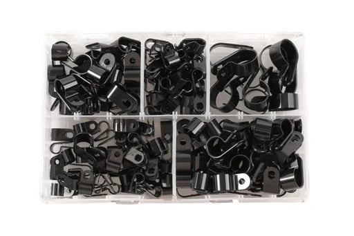 Connect Assorted Nylon P Clips Box 160pc - CPL