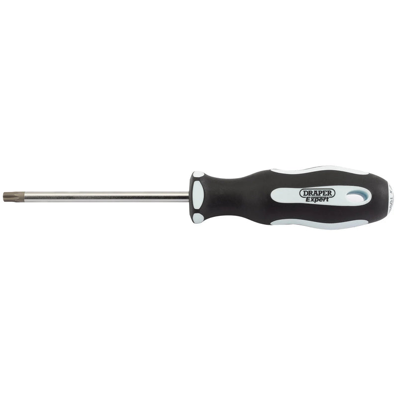 Draper Expert Security Screwdriver T30T 100mm Soft Grip