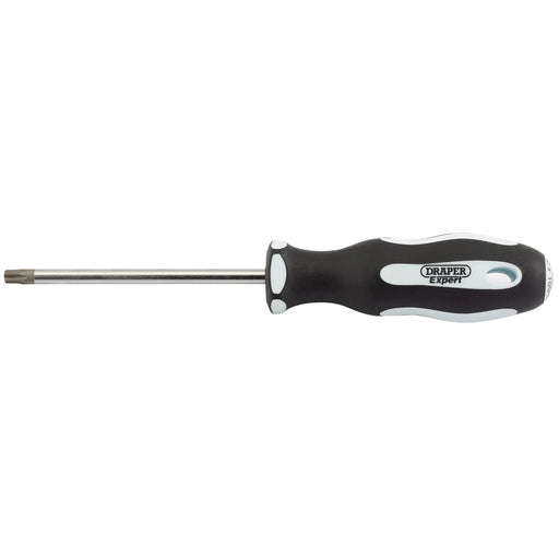 Draper Expert Security Screwdriver T30T 100mm Soft Grip