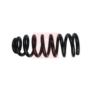 Apec Front Suspension Coil Spring ACS1816
