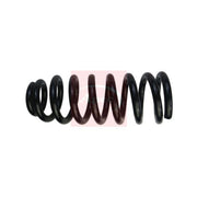 Apec Front Suspension Coil Spring ACS1816