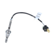 NRF Exhaust Gas Temperature Sensor before exhaust tur 707161
