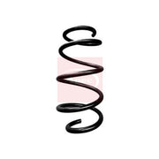 Apec Front Suspension Coil Spring ACS1720