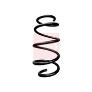 Apec Front Suspension Coil Spring ACS1720