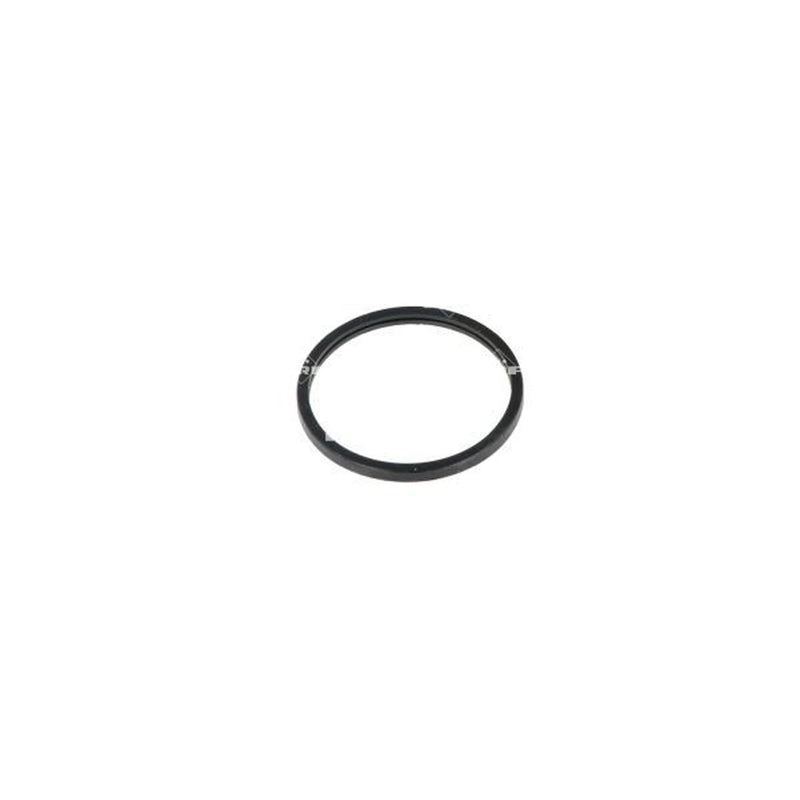 NRF Thermostat,Coolant 725016