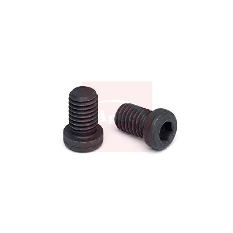 Apec Front Brake Disc Bolt ADS9
