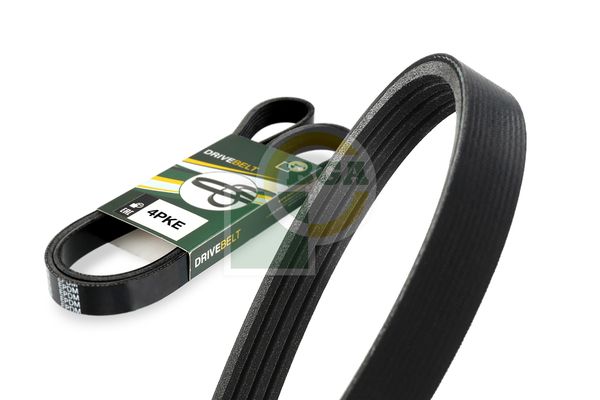 BGA Multi V-Ribbed Drive Belt