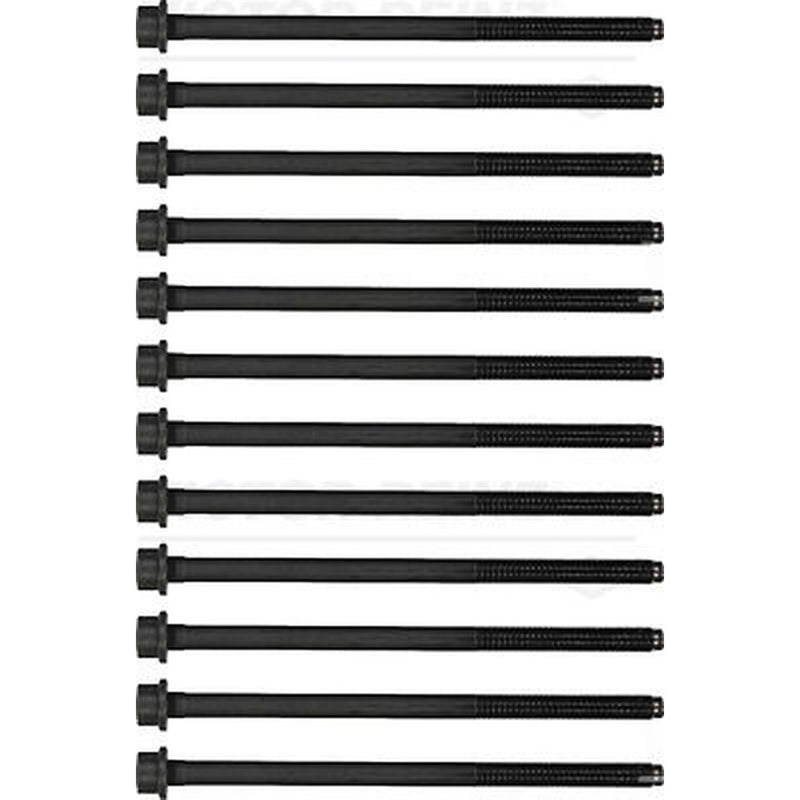 Victor Reinz Cylinder Head Bolt Set M12 14-32321-02