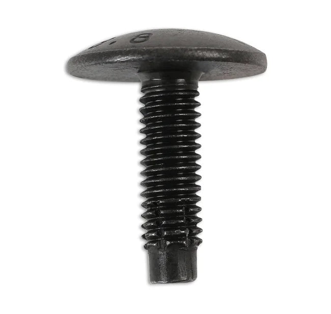 Connect Metal Trim Screw - for Citroen, Peugeot, Seat, VW 20pc - CPL