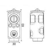 Mahle Air Conditioning Expansion Valve AVE 209 000S