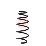 Apec Front Suspension Coil Spring ACS2008