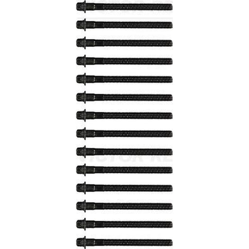 Victor Reinz Cylinder Head Bolt Set M10 14-32101-01