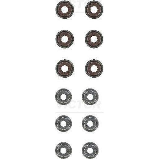 Victor Reinz Valve Stem Seal Set ID High 12-40616-04