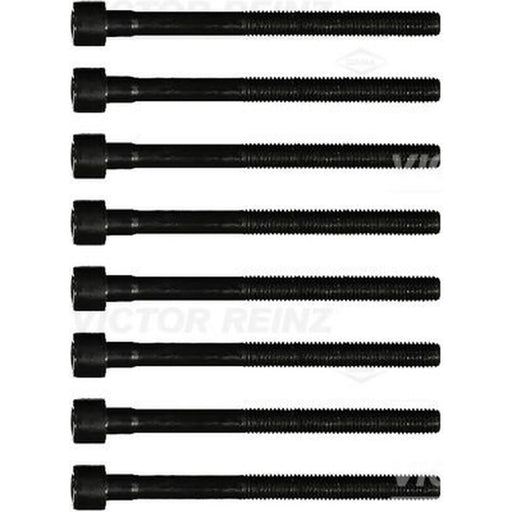Victor Reinz Cylinder Head Bolt Set M10 14-12221-01