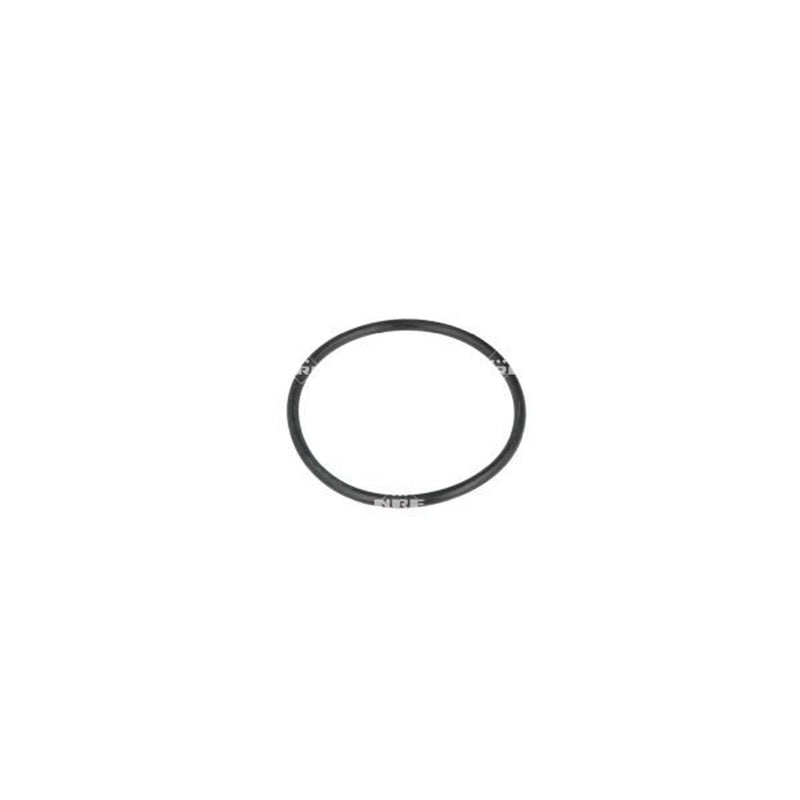 NRF Thermostat,Coolant 725290