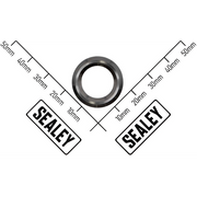 Sealey Piston Gland
