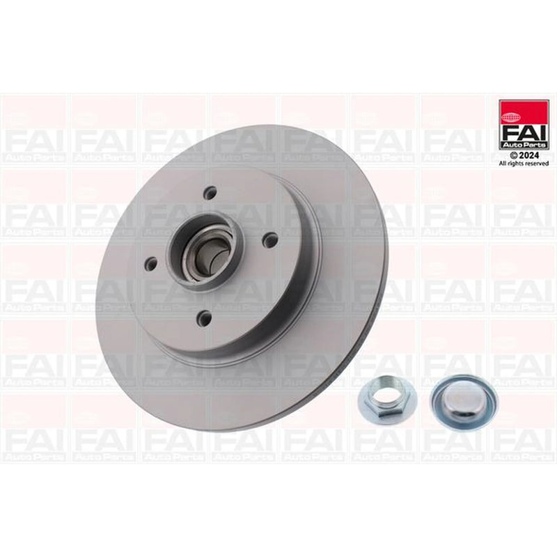 FAI 2 x Solid Rear Brake Discs BD114