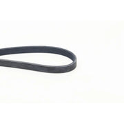 Continental CTAM Multi V-Ribbed Drive Belt 6DPK1825
