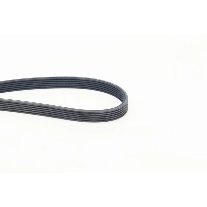 Continental CTAM Multi V-Ribbed Drive Belt 6DPK1825