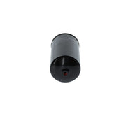 Bosch Fuel Filter Element F 026 402 790