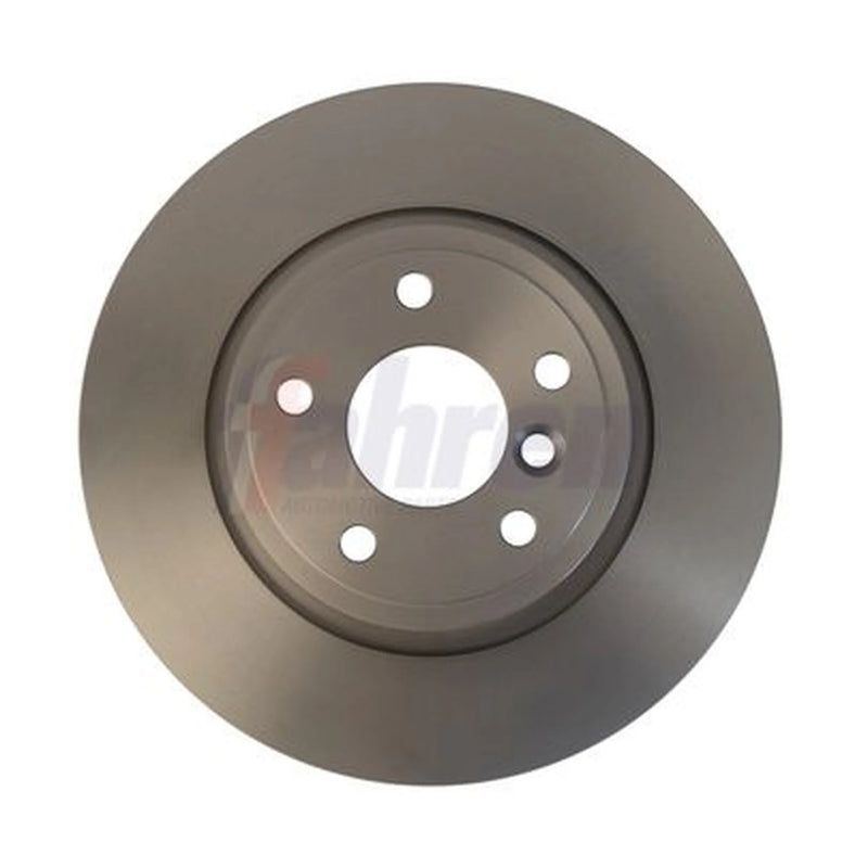 Fahren 2 x Solid Rear Brake Discs FBD6833