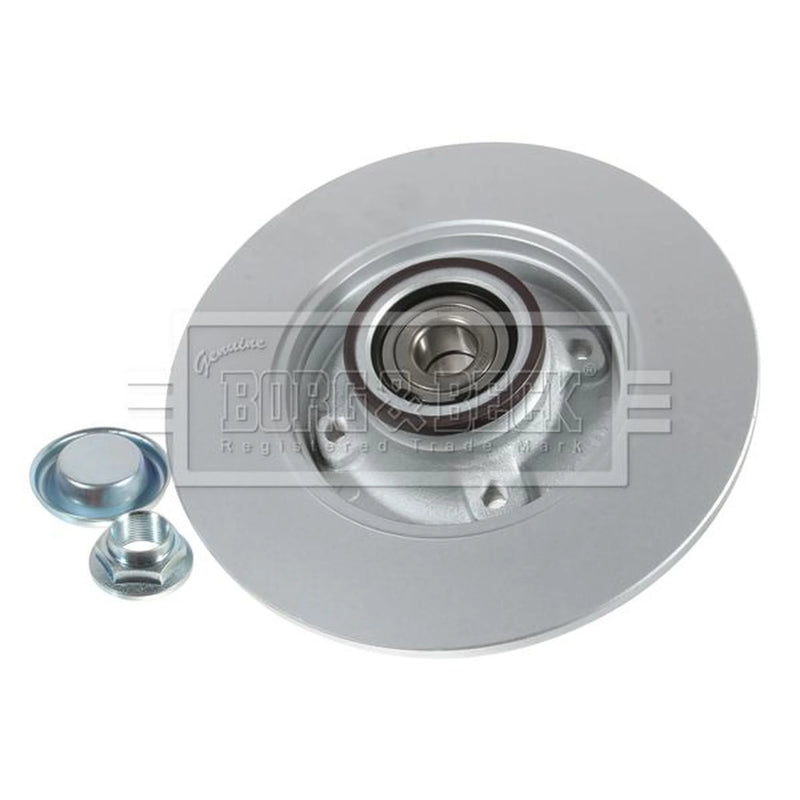 Borg & Beck 2 x Solid Rear Brake Discs BBD5796S