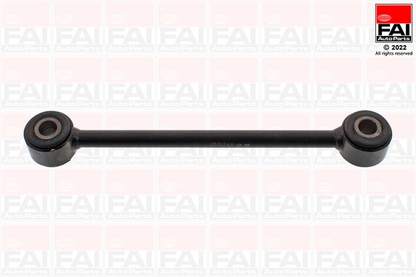 FAI Control/Trailing Arm