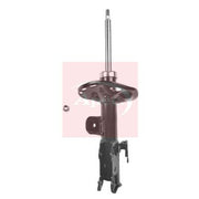 Apec Shock Absorber Damper Strut Front Left ASA1317