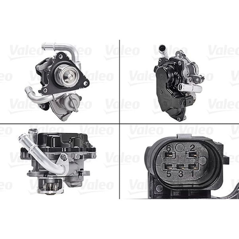 Valeo Exhaust Gas Recirculation Valve 700454