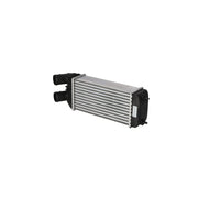 NRF Intercooler (Charge Air Cooler) 30460